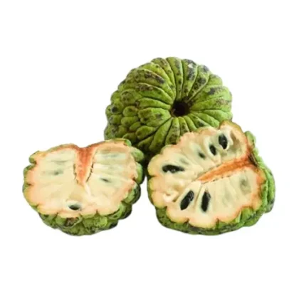 Cherimoya (Custard Apple)