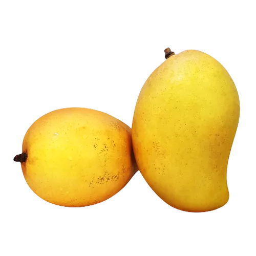 Alponso Mango